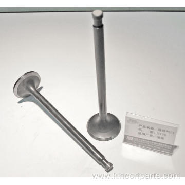 Engine Valves Z170